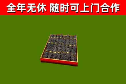 田林县回收海参